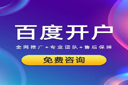 SEM代运营公司案例：优化策略揭秘